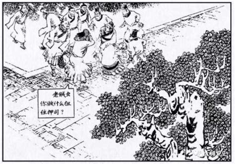 罵人話 1982 五行